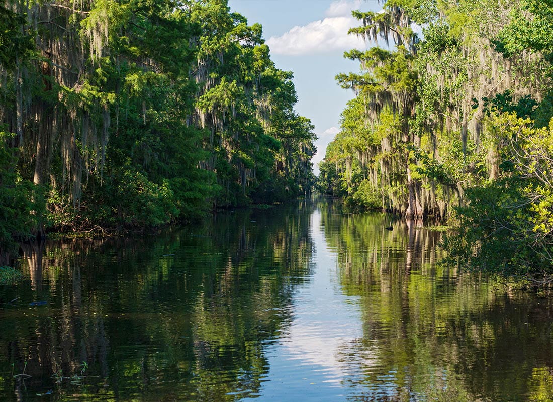 Cut Off, LA - Mississippi River and Forest of Jean Lafitte National Park